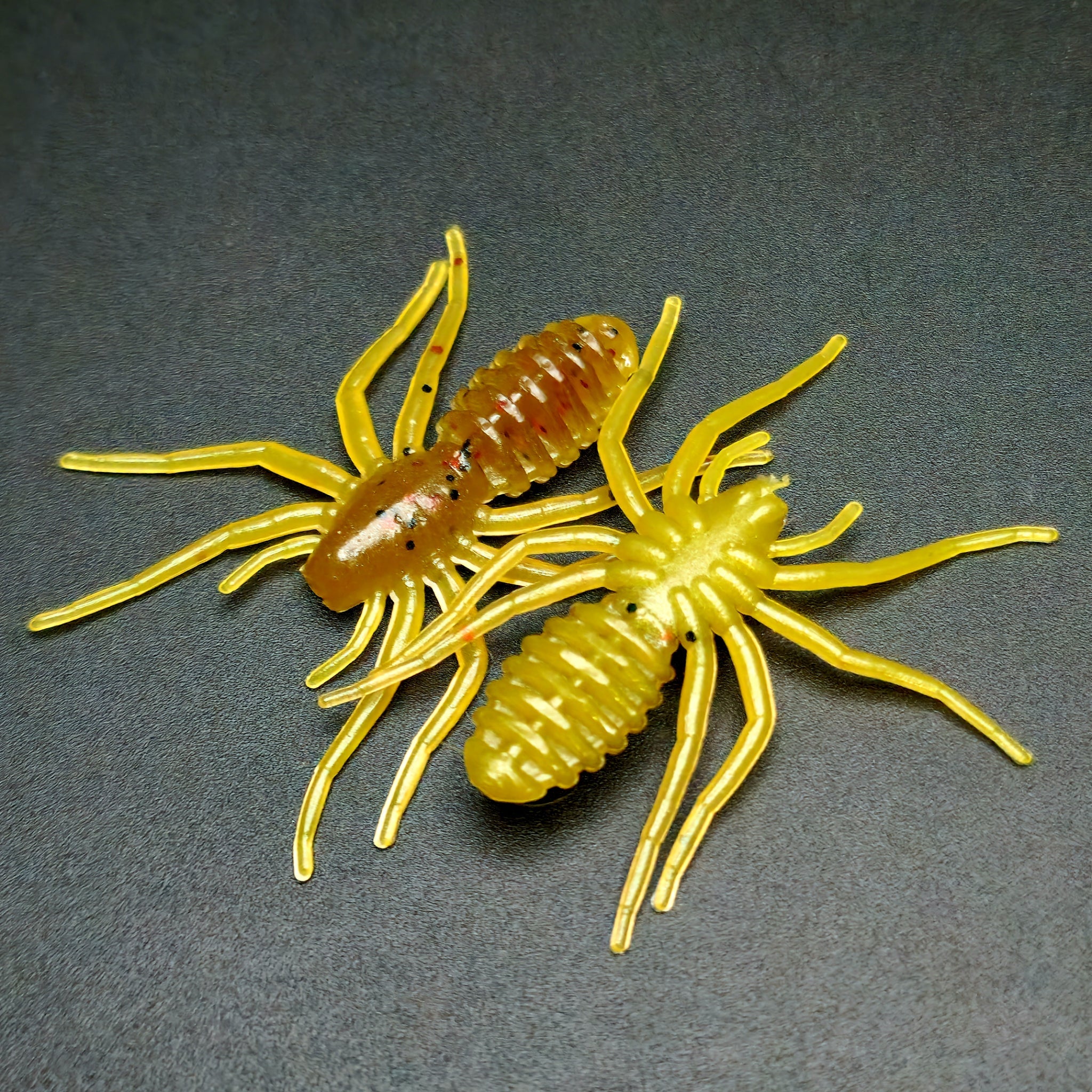 1" Micro Spider Bait "The Writing Spider"