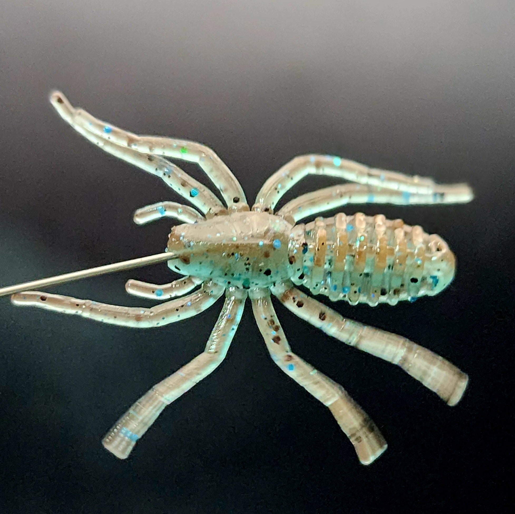 1" Micro Spider Bait "The Writing Spider"