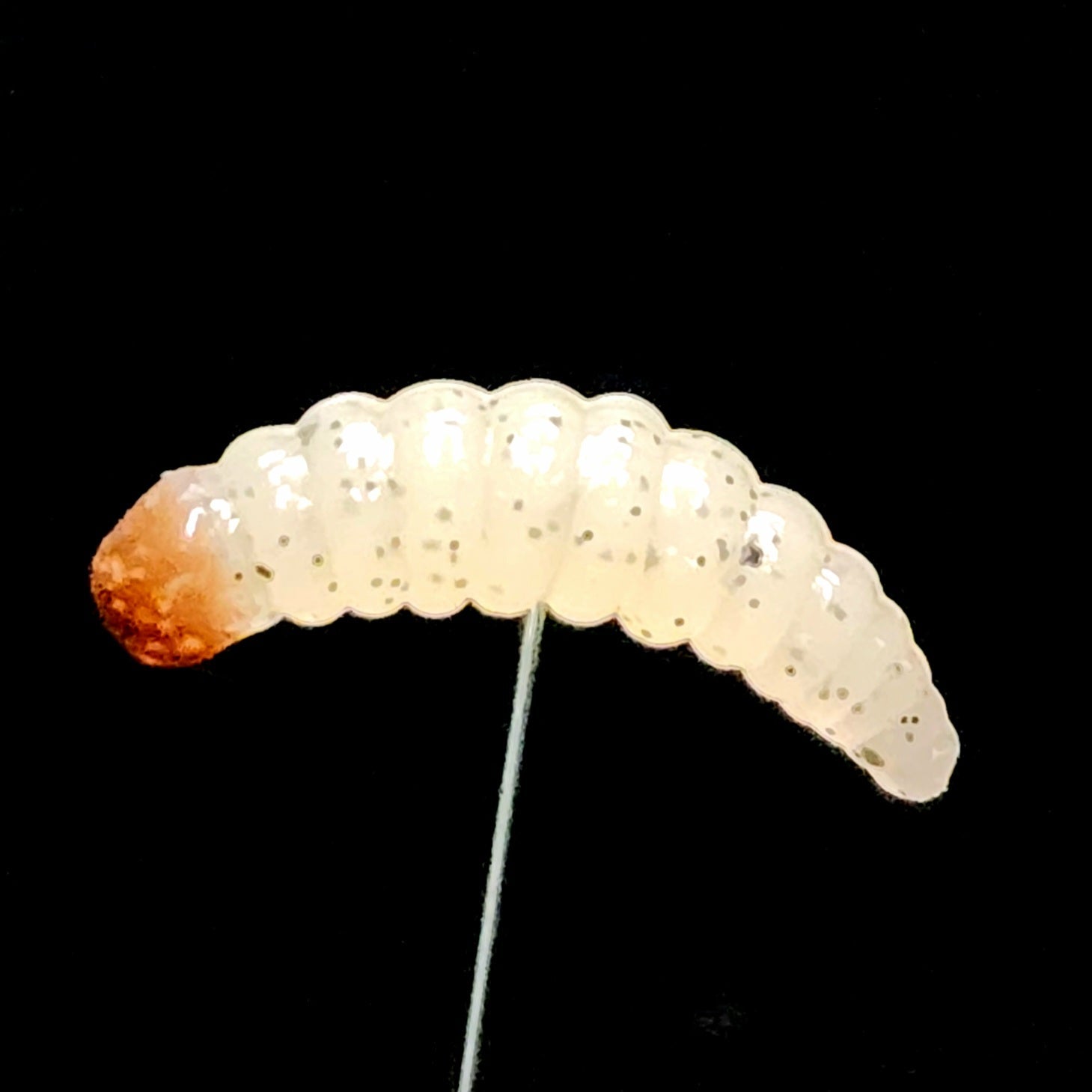 1" Realistic Waxworm "The Tater Bug" 8 Per Pack