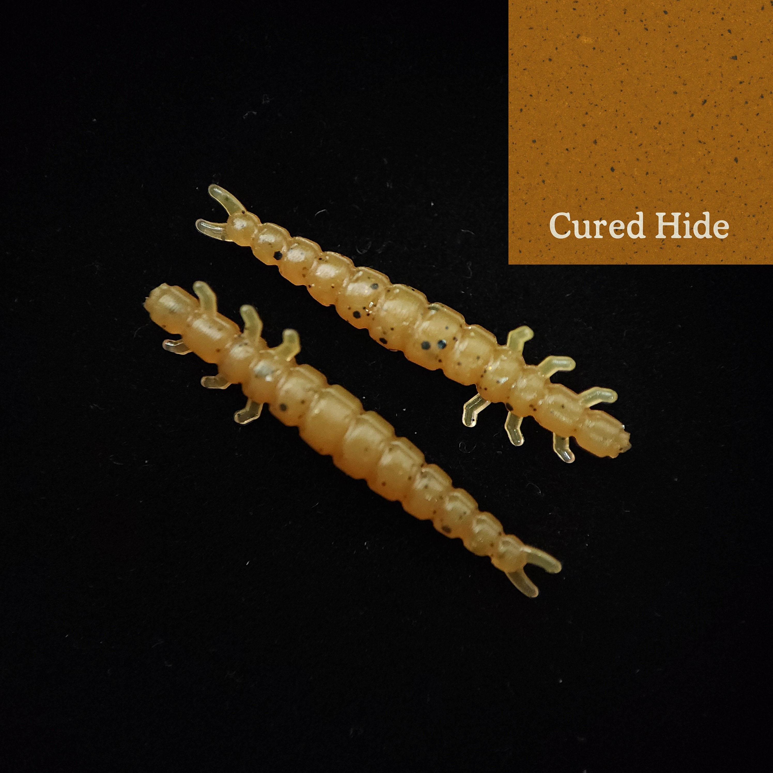 Jar of 1.3" Caddis Fly Larvae "Stream Weaver"