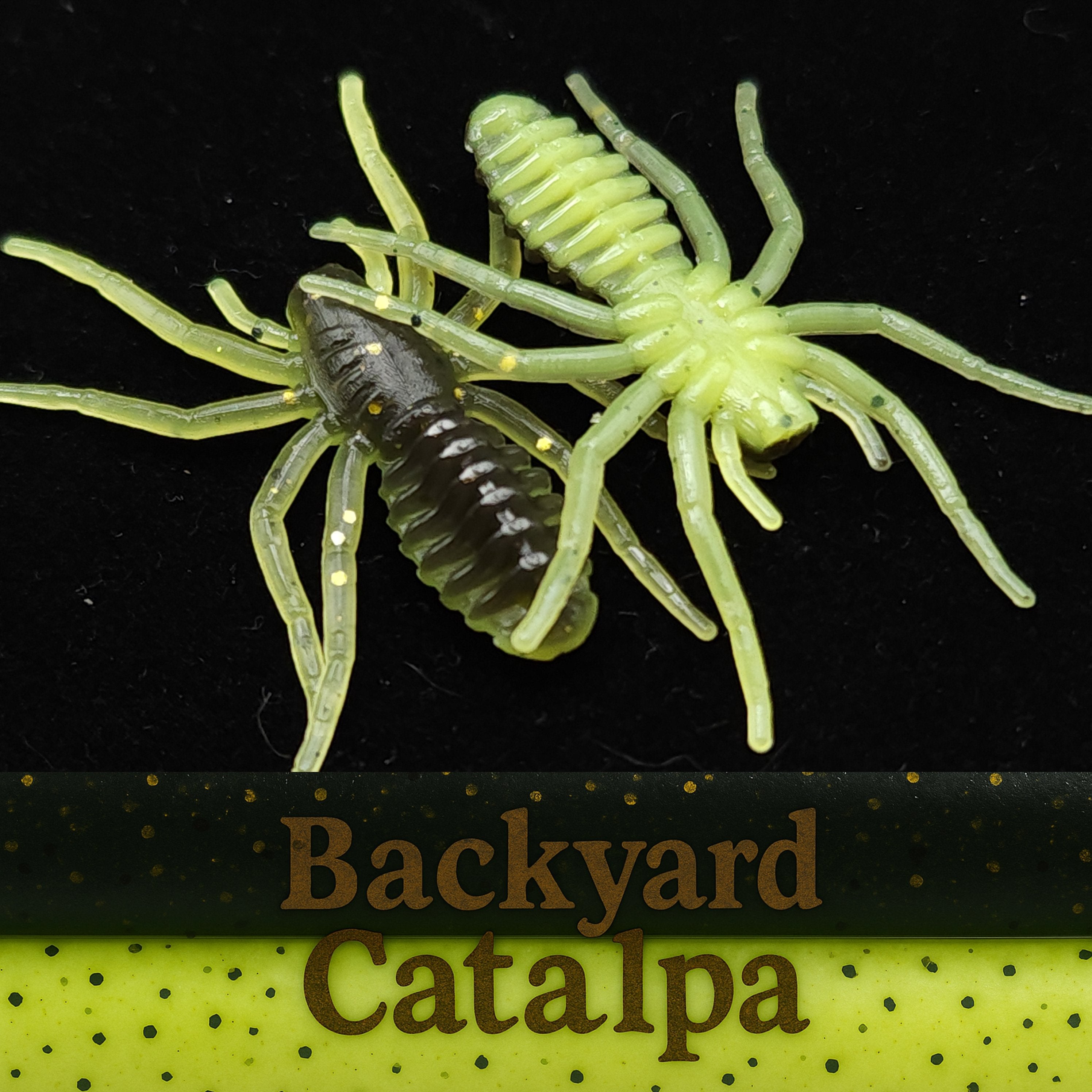 1" Micro Spider Bait "The Writing Spider"