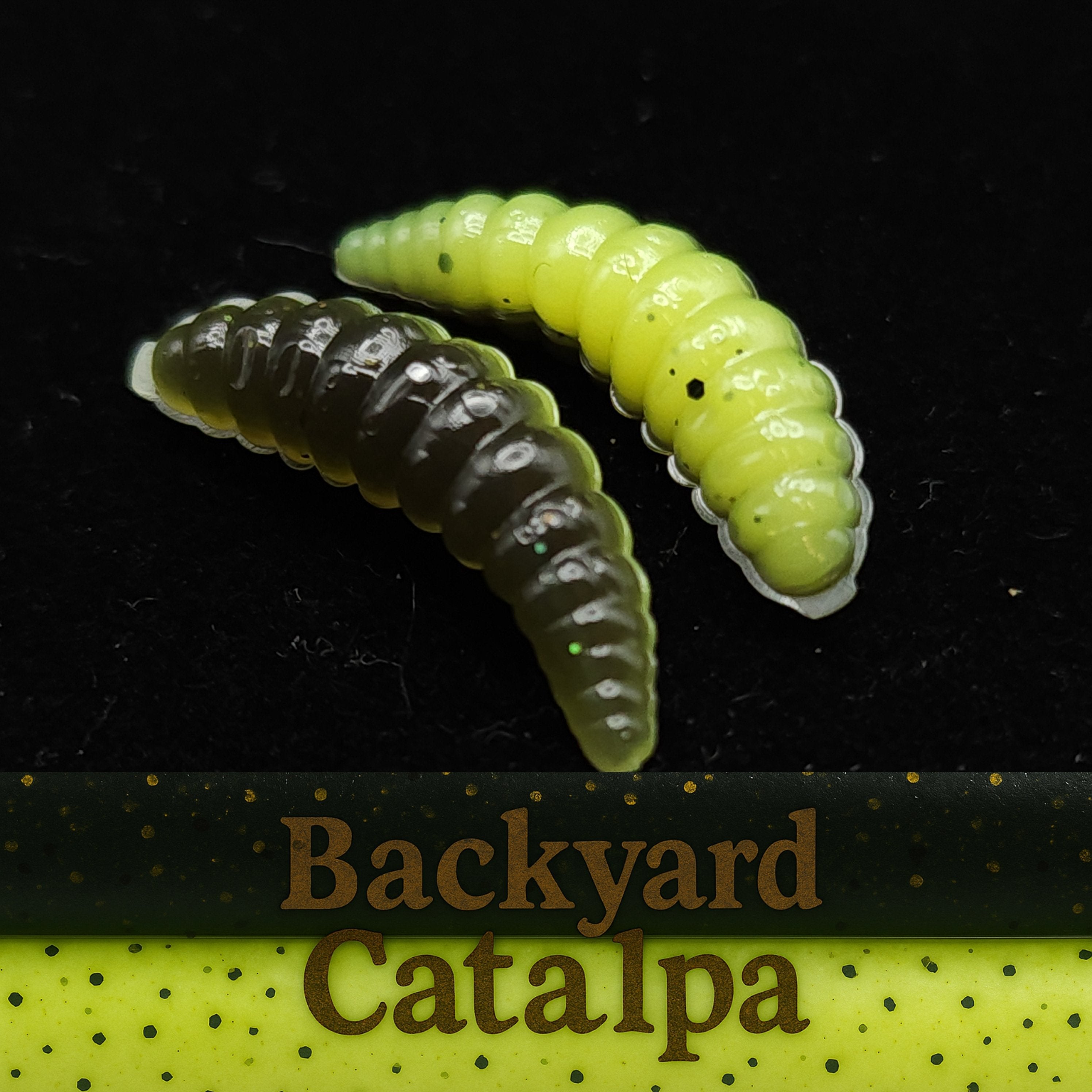 1" Waxworm "The Tater Bug" 8 Per Pack