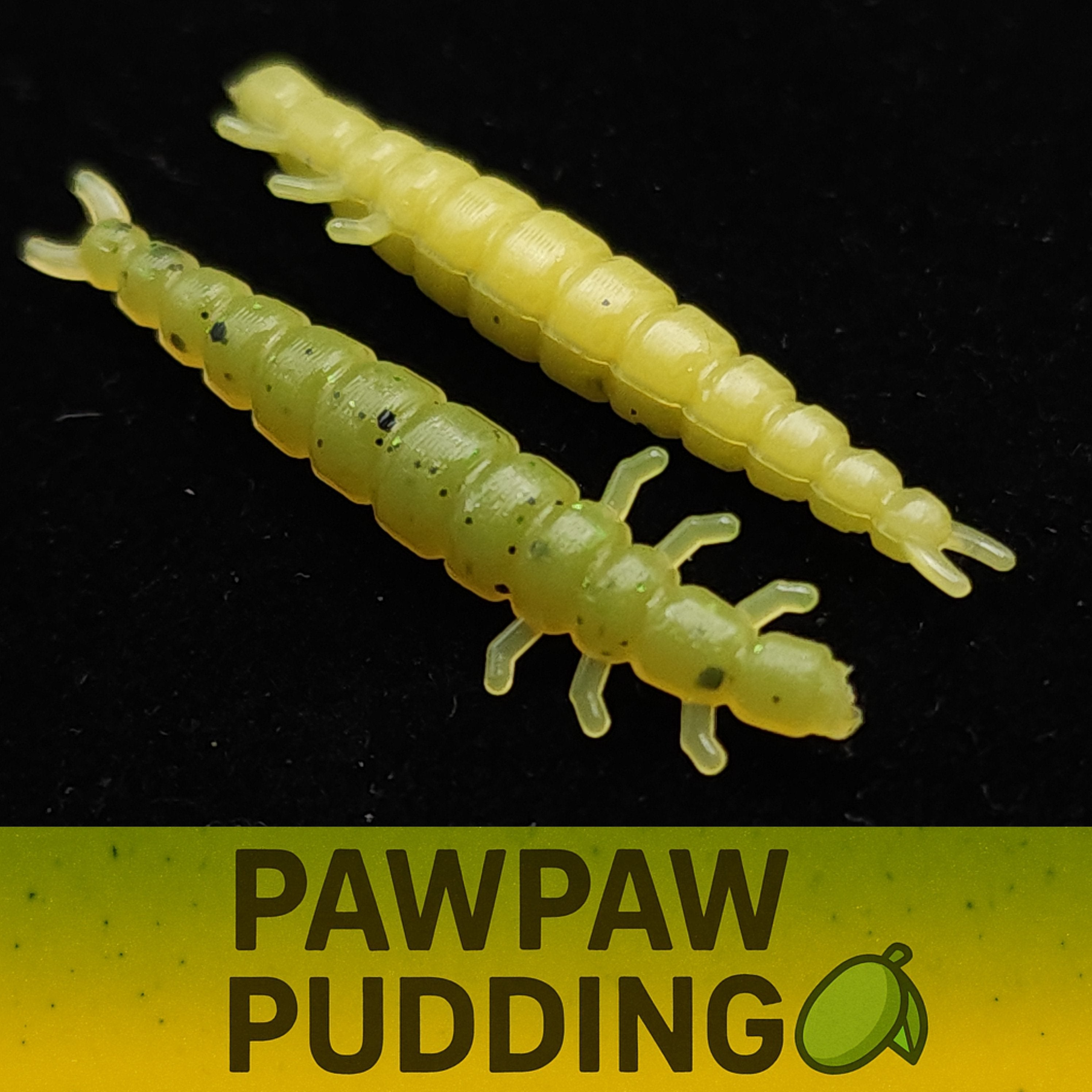 Jar of 1.3" Caddis Fly Larvae "Stream Weaver"