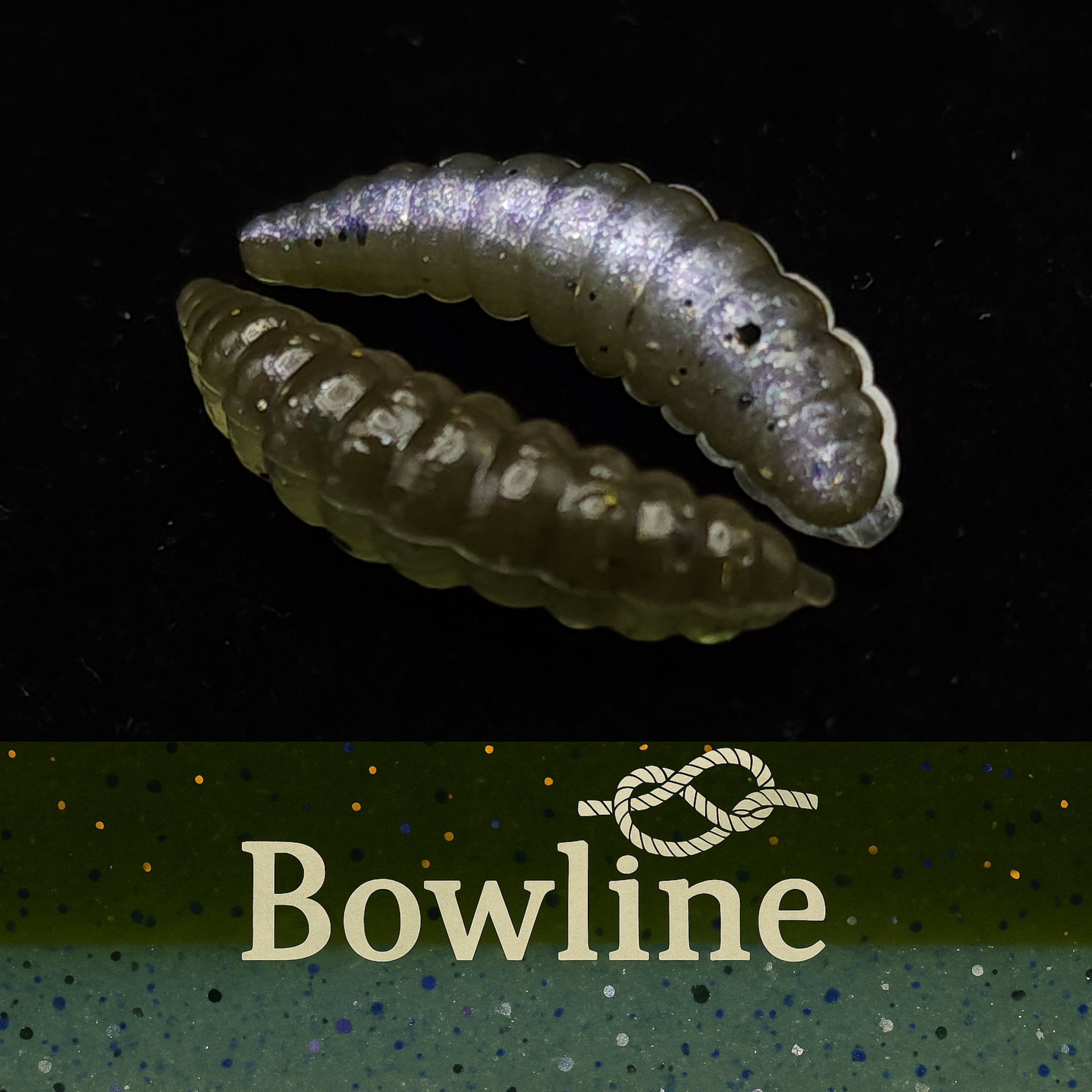 1" Waxworm "The Tater Bug" 8 Per Pack