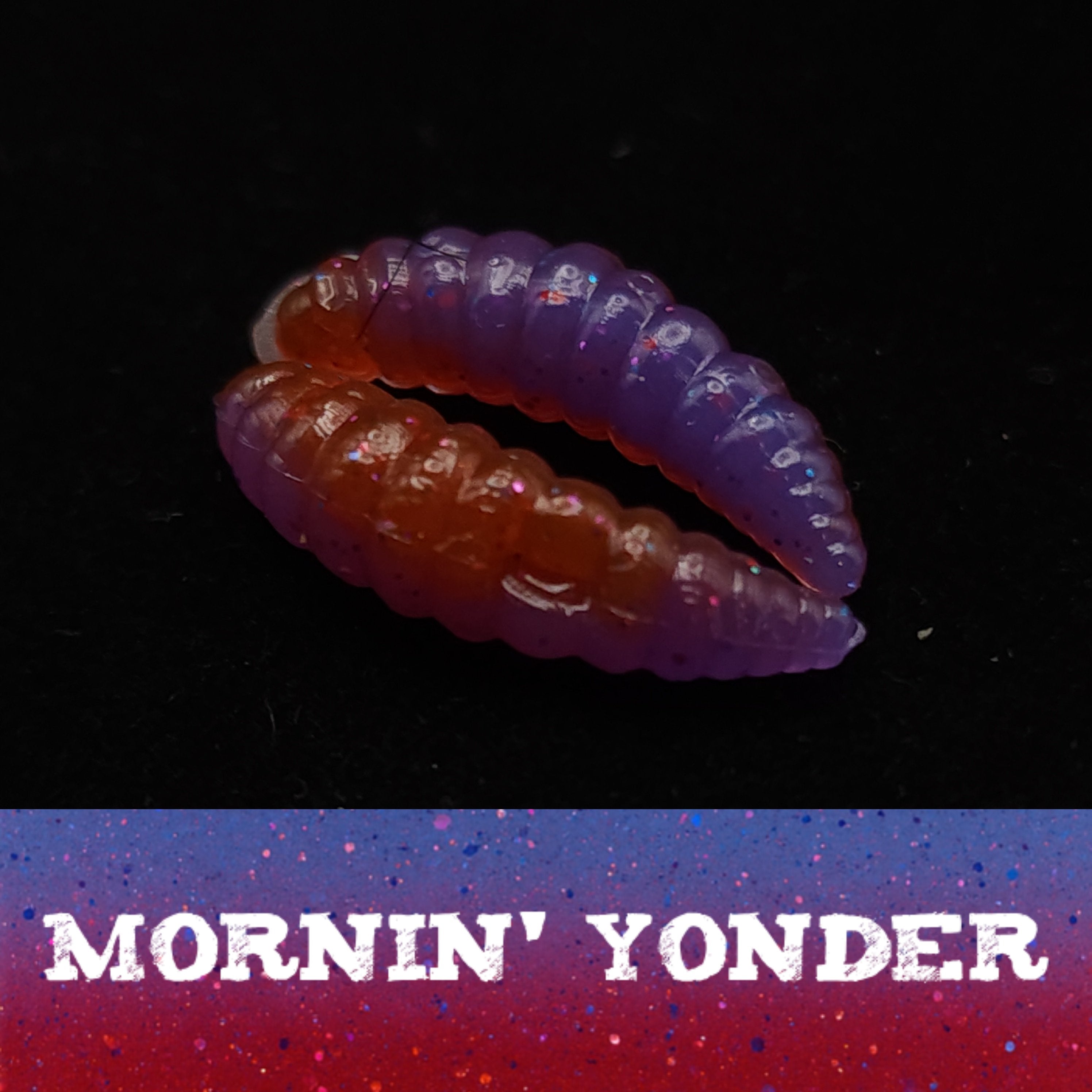 Jar of 1" Waxworm "The Tater Bug"