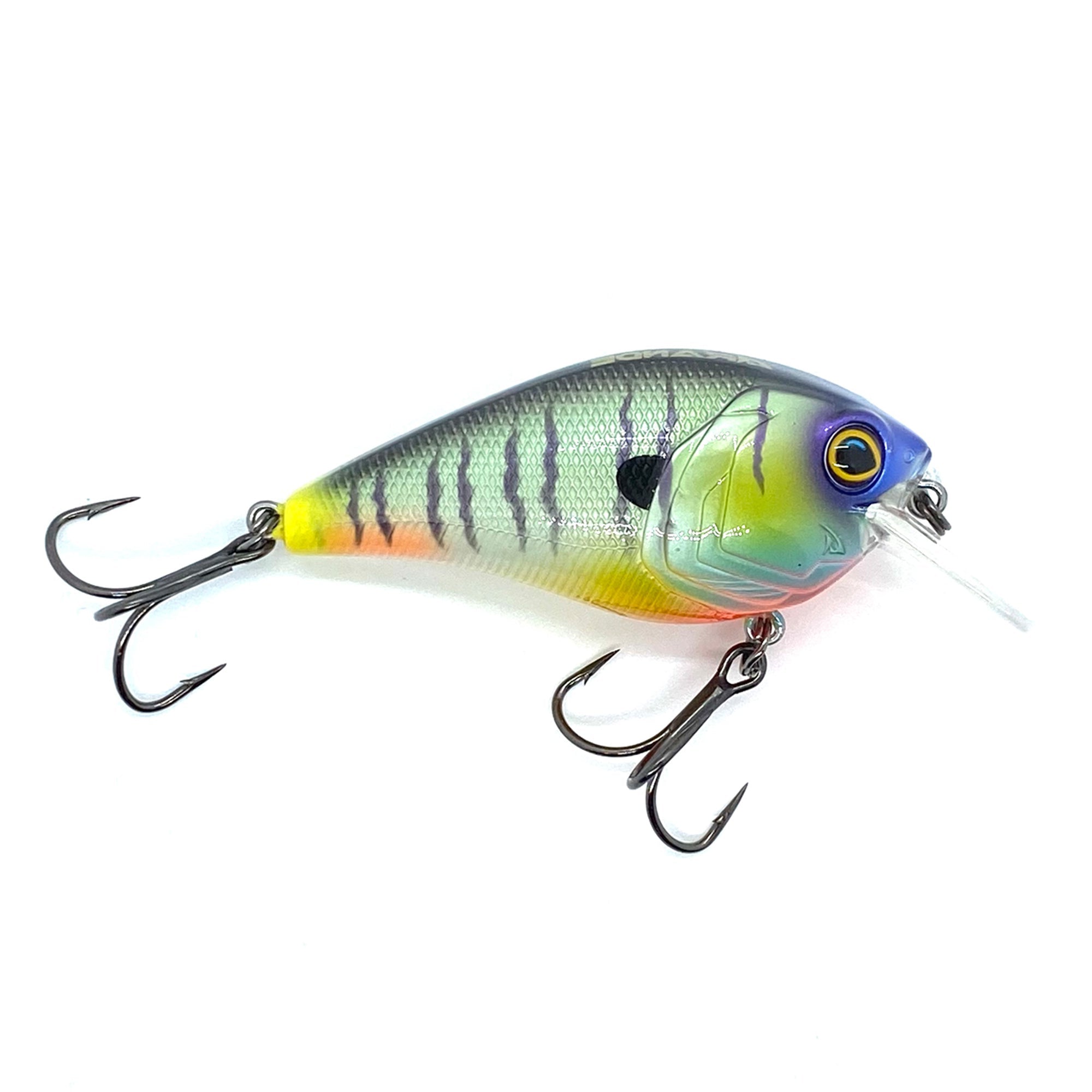 Hunter 1.5 Squarebill