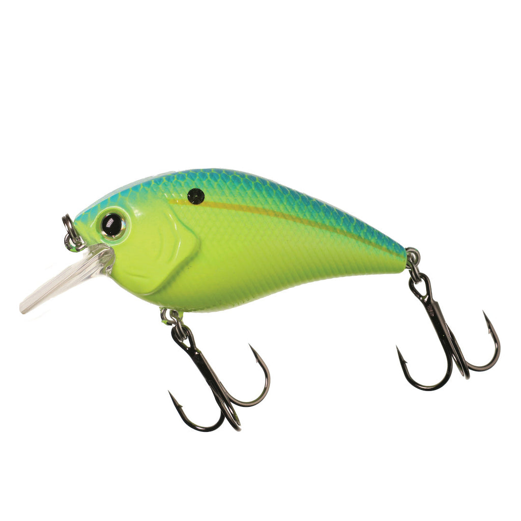 XB-1 Deep Knock Squarebill