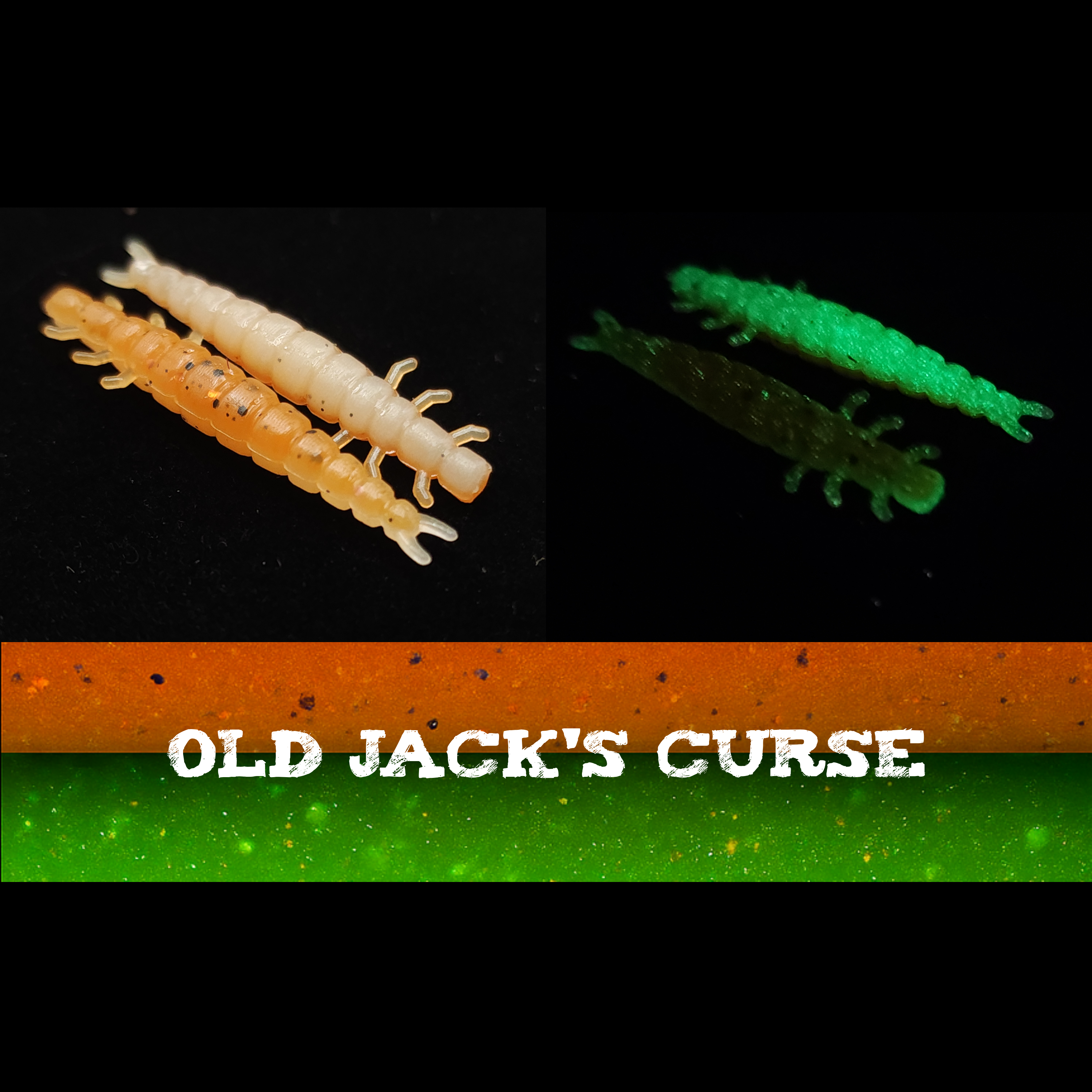 Jar of 1.3" Caddis Fly Larvae "Stream Weaver"