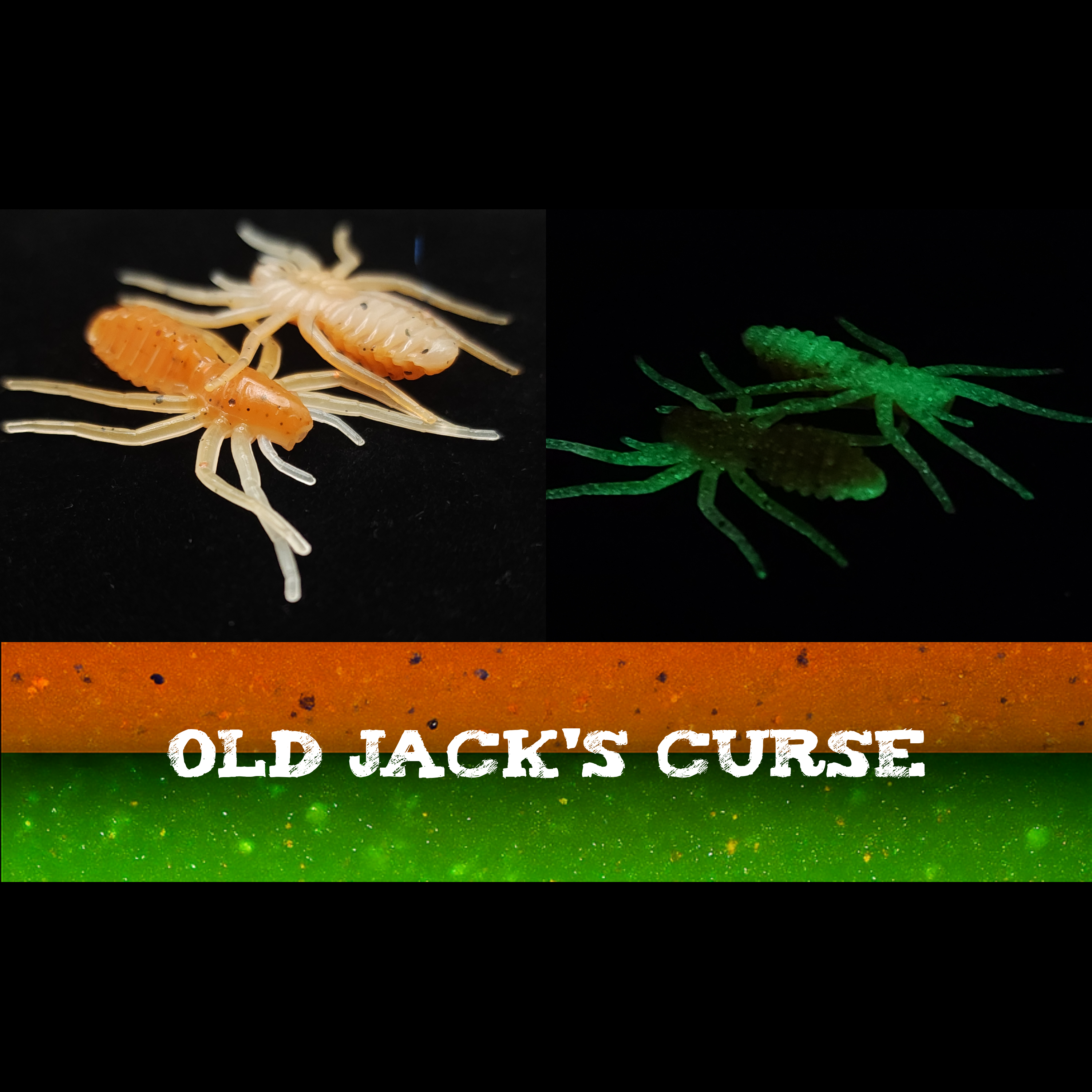 Jar of 1" Micro Spider Bait "The Writing Spider"