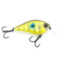 Hunter 1.5 Squarebill
