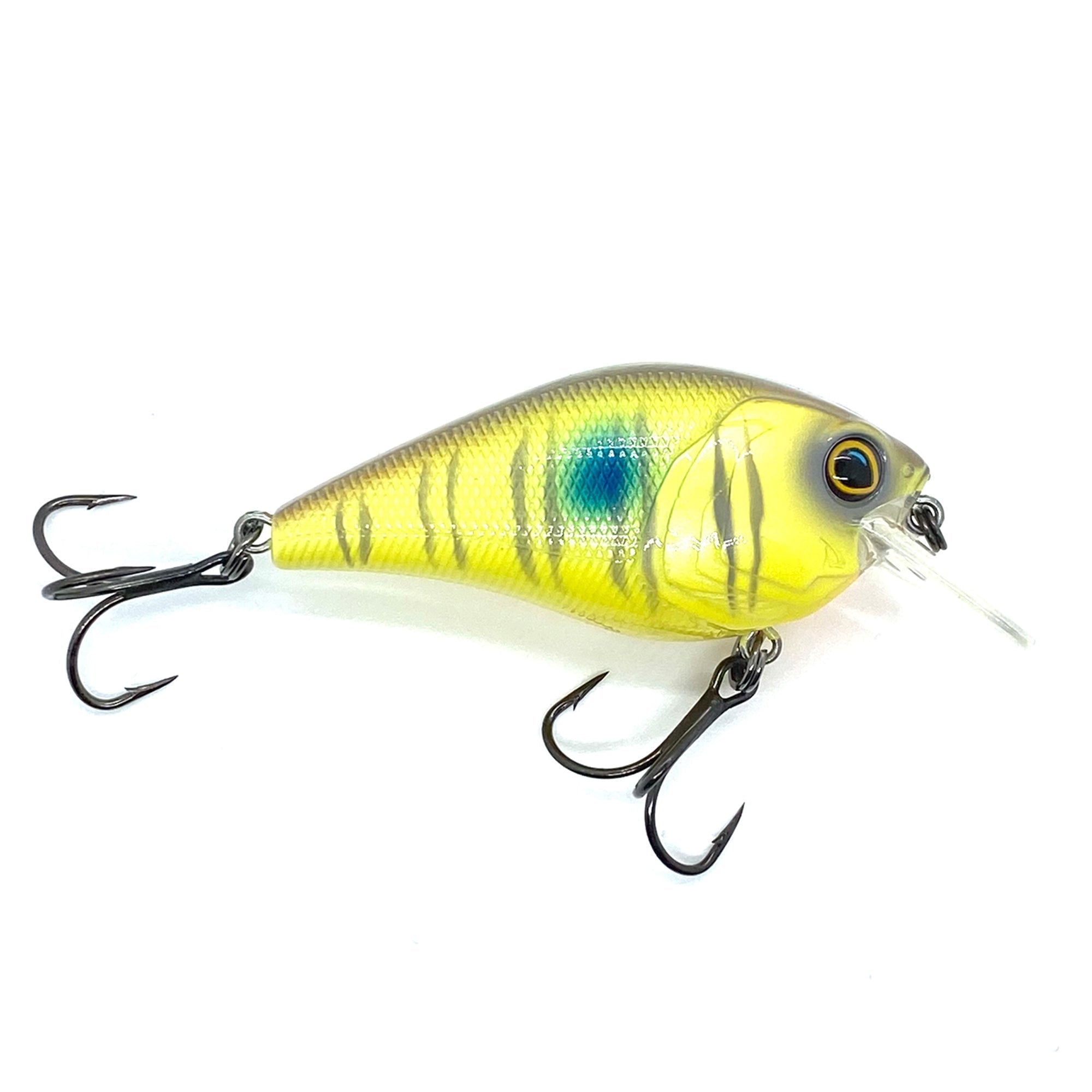 Hunter 1.5 Squarebill