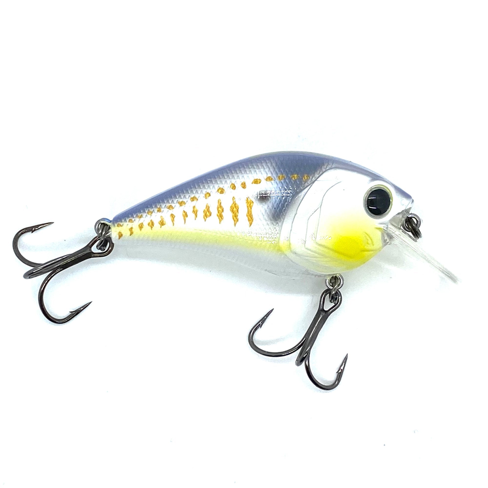 Hunter 1.5 Squarebill