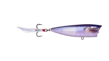 Ark Topwater Popper