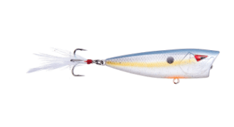 Ark Topwater Popper