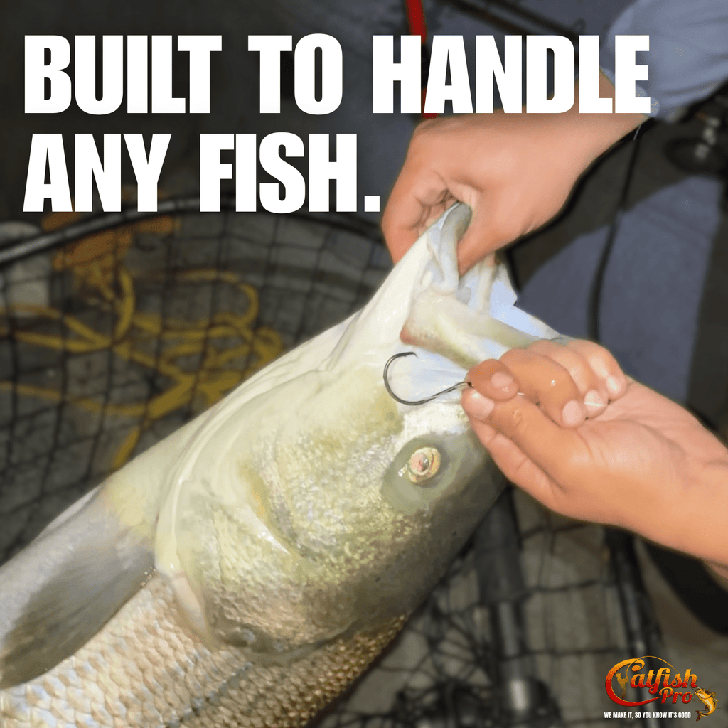 Double Offset Circle Hooks 8/0