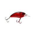 Seeker 6